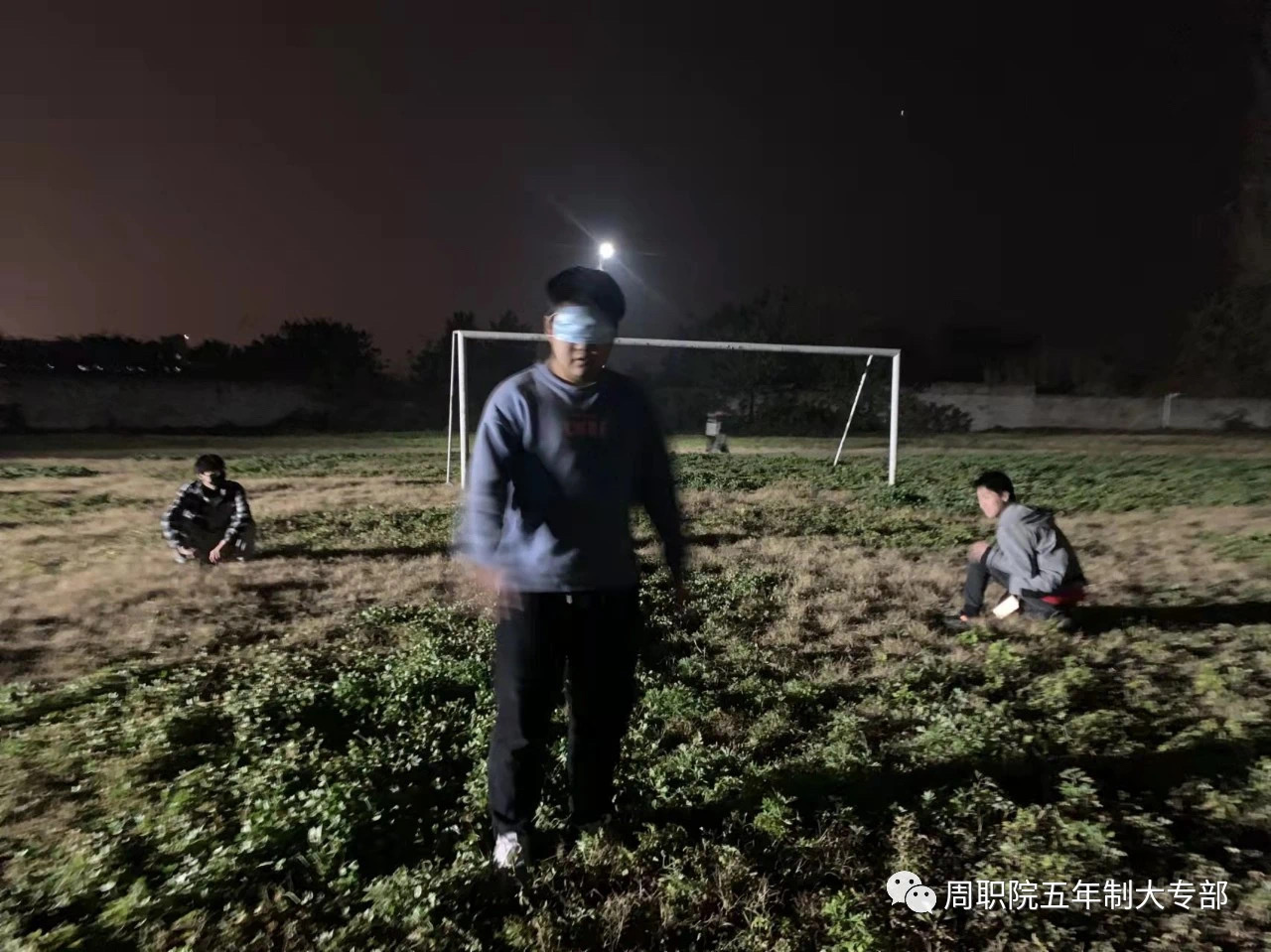 伟德(bevictor)官方网站