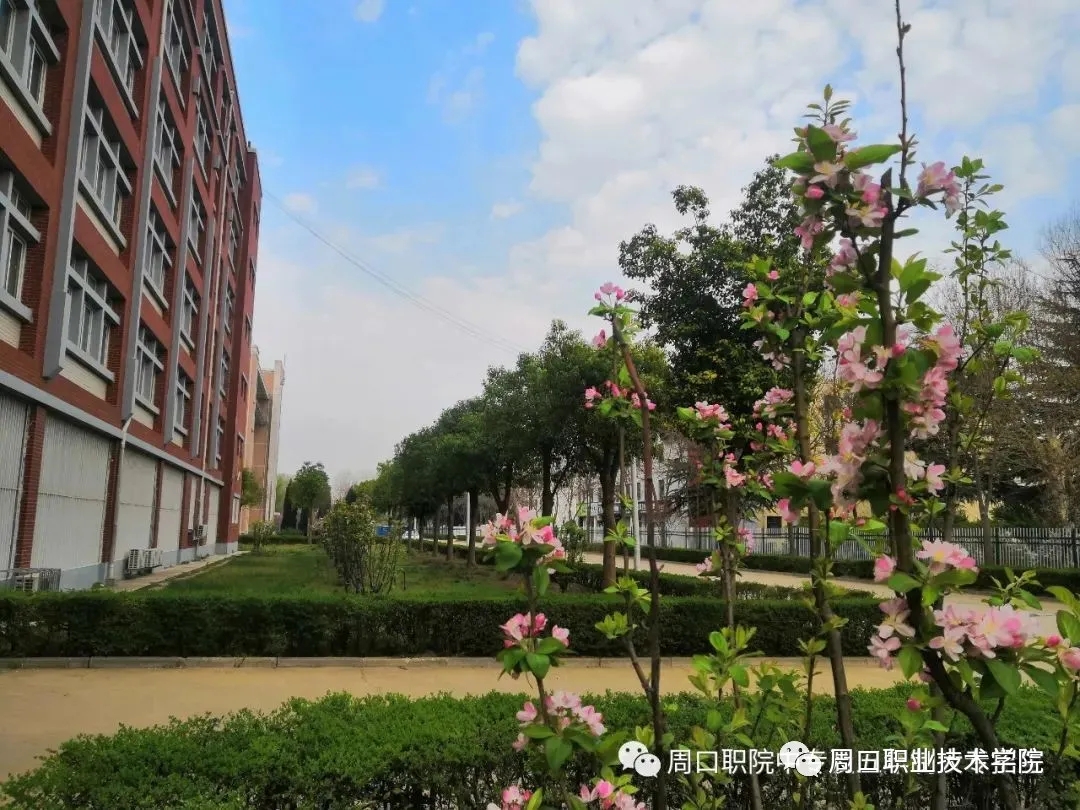 伟德(bevictor)官方网站