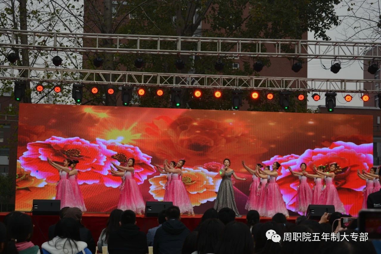 伟德(bevictor)官方网站