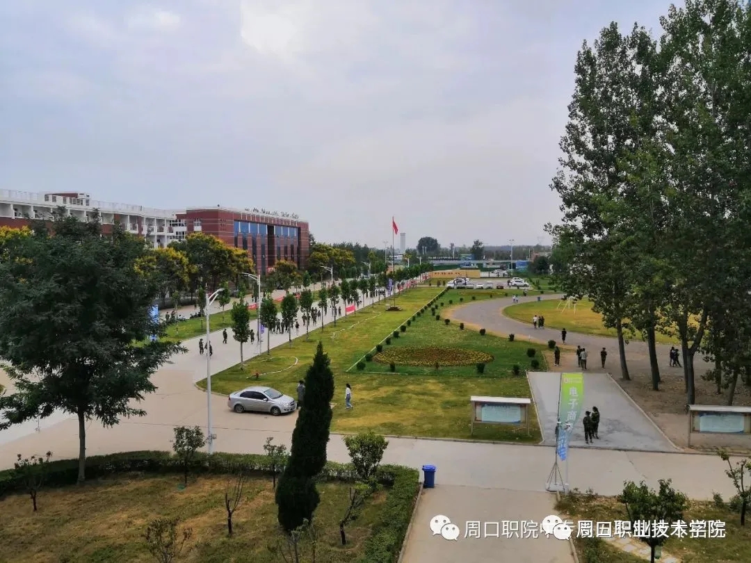 伟德(bevictor)官方网站