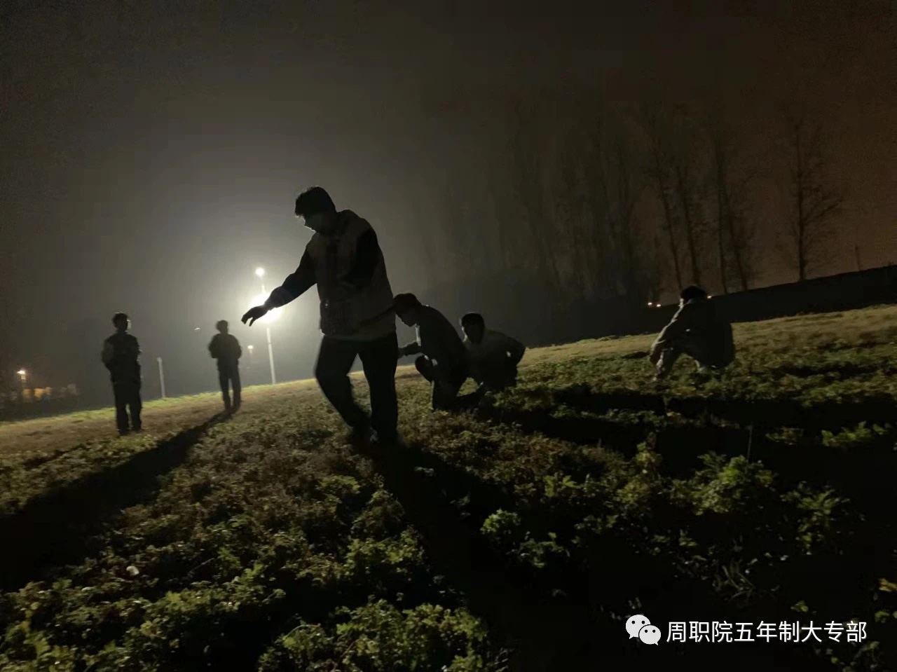 伟德(bevictor)官方网站